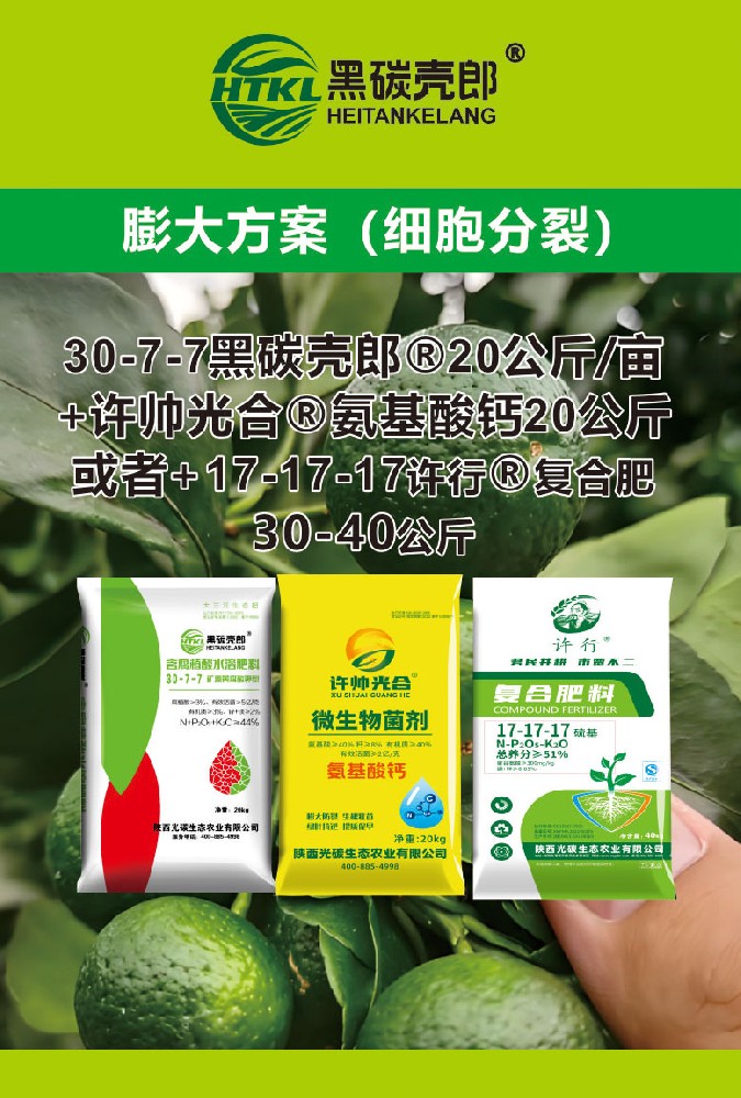 膨大方案（细胞分裂）